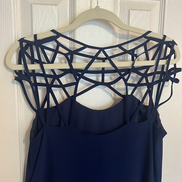 Naked Zebra Navy Dress - Picture 3 of 4